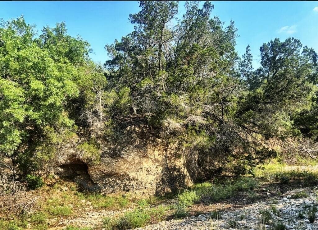 109.7 acres in Edwards County - photo 5