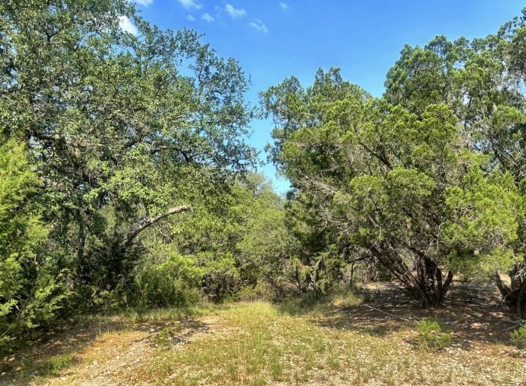 109.7 acres in Edwards County - photo 8