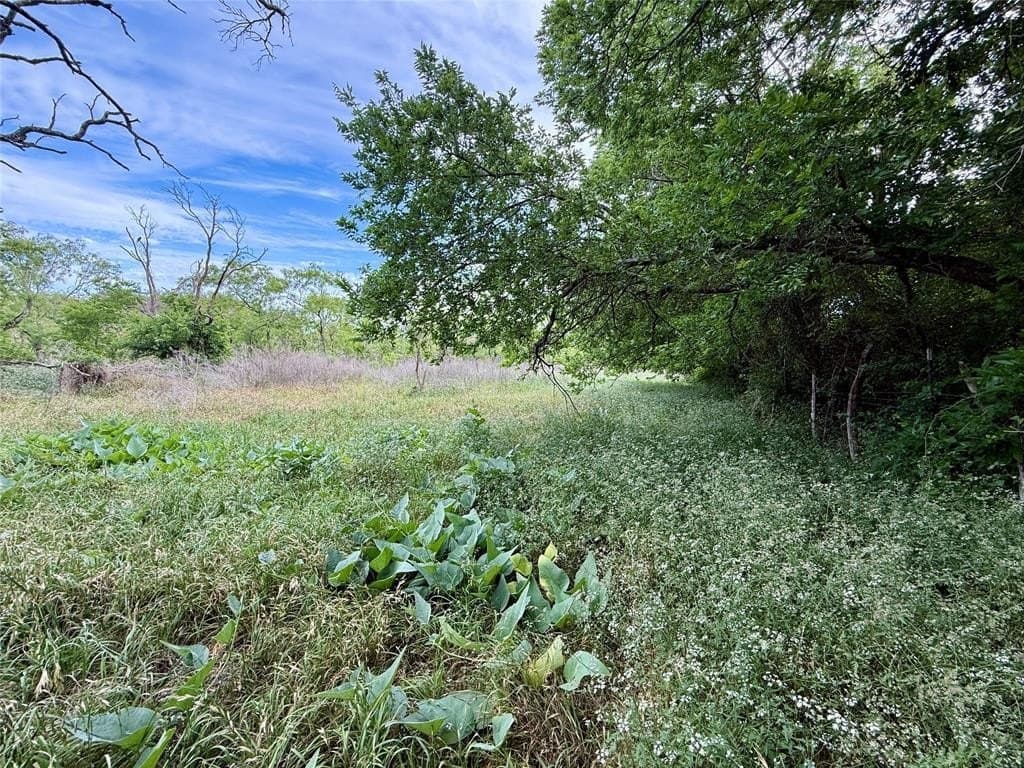 8 acres in Hamilton County gallery image 2