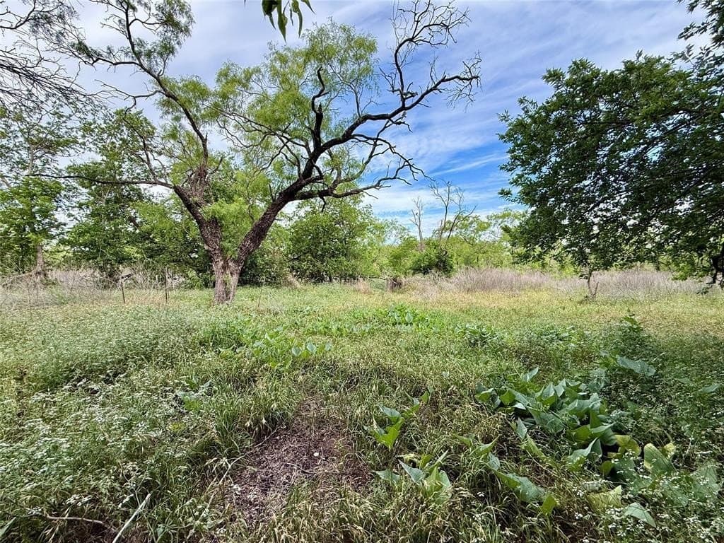 8 acres in Hamilton County gallery image 4