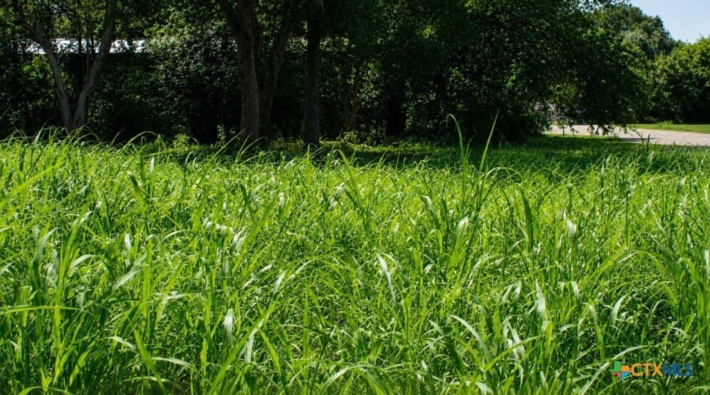 0.13 acres in Gonzales County gallery image 2