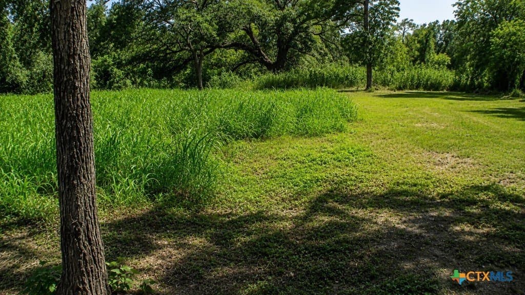 0.13 acres in Gonzales County gallery image 4