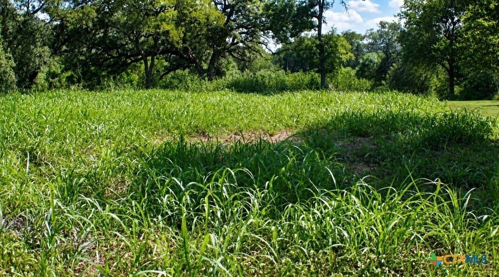 0.13 acres in Gonzales County featured view