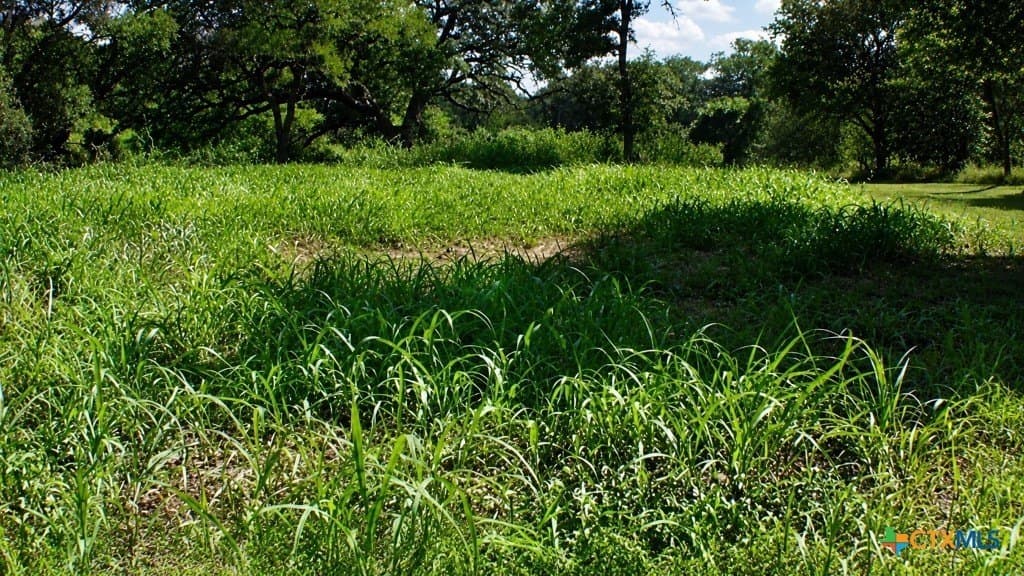 0.13 acres in Gonzales County - photo 6