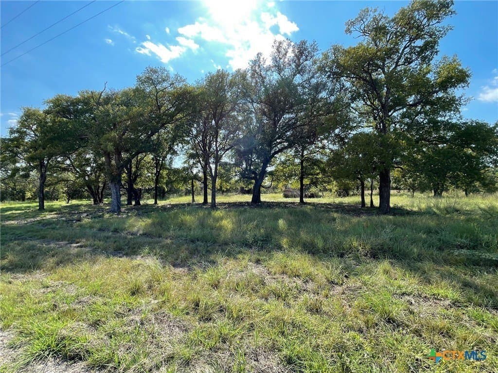 41 acres in Lampasas County - photo 18
