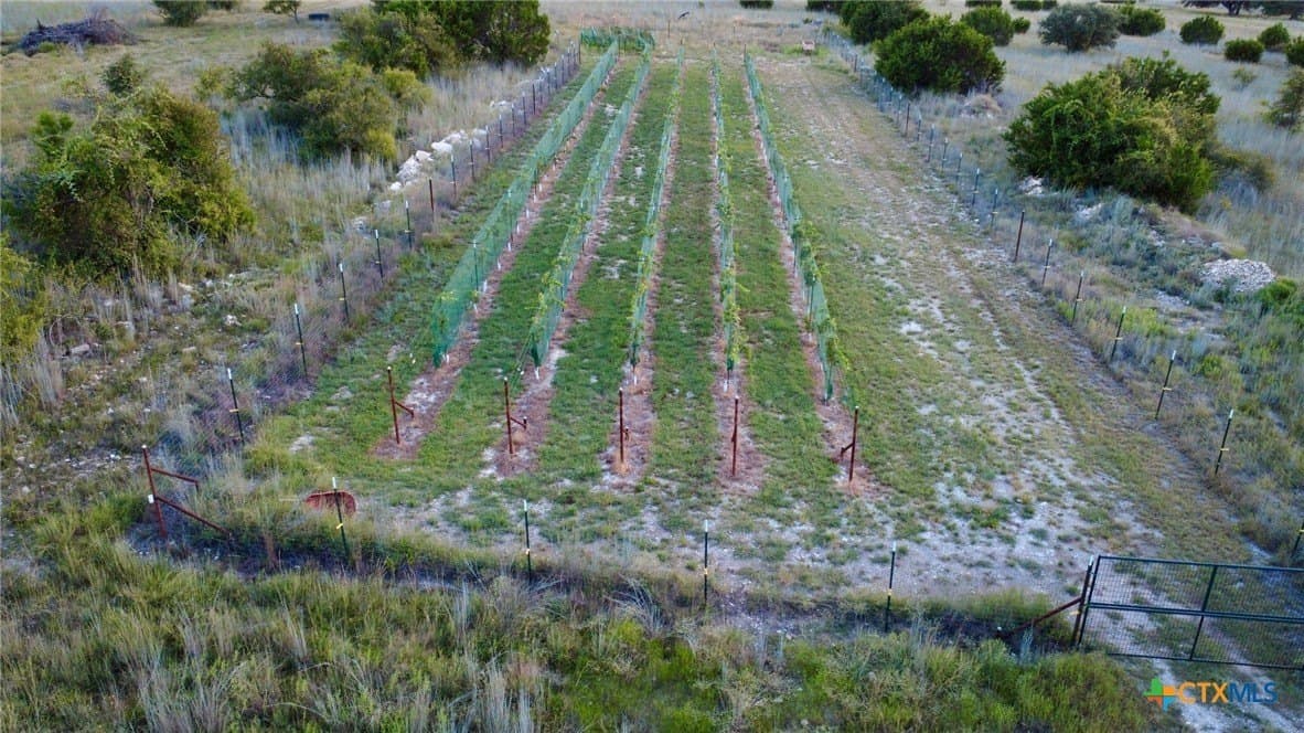 41 acres in Lampasas County - photo 15