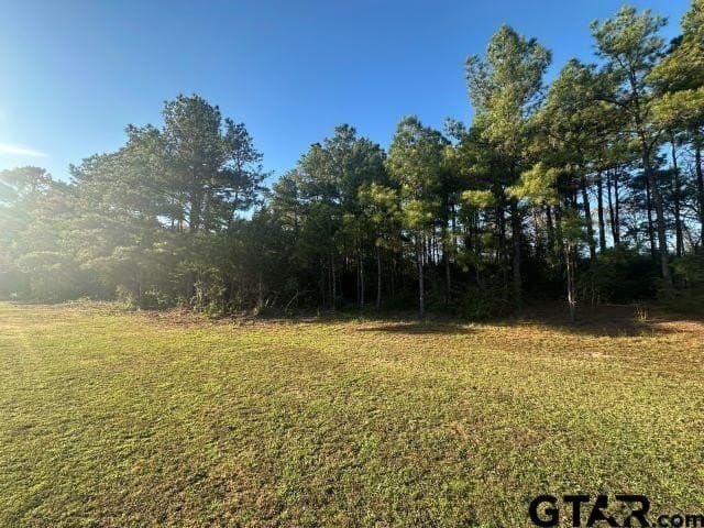 1.5 acres in Nacogdoches County gallery image 2