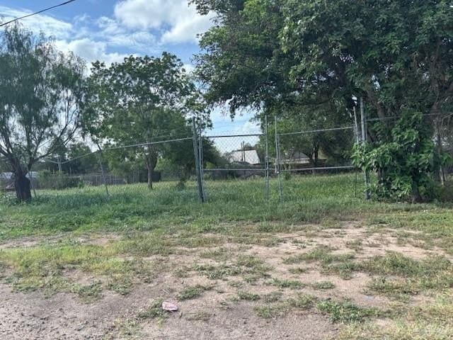 0.23 acres in Hidalgo County gallery image 2