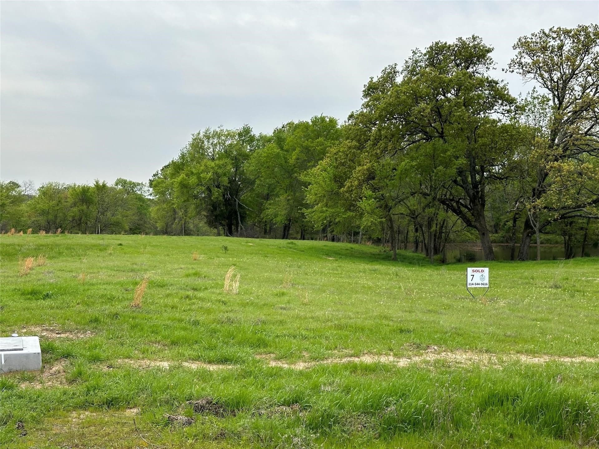 1.59 acres in Rains County gallery image 3