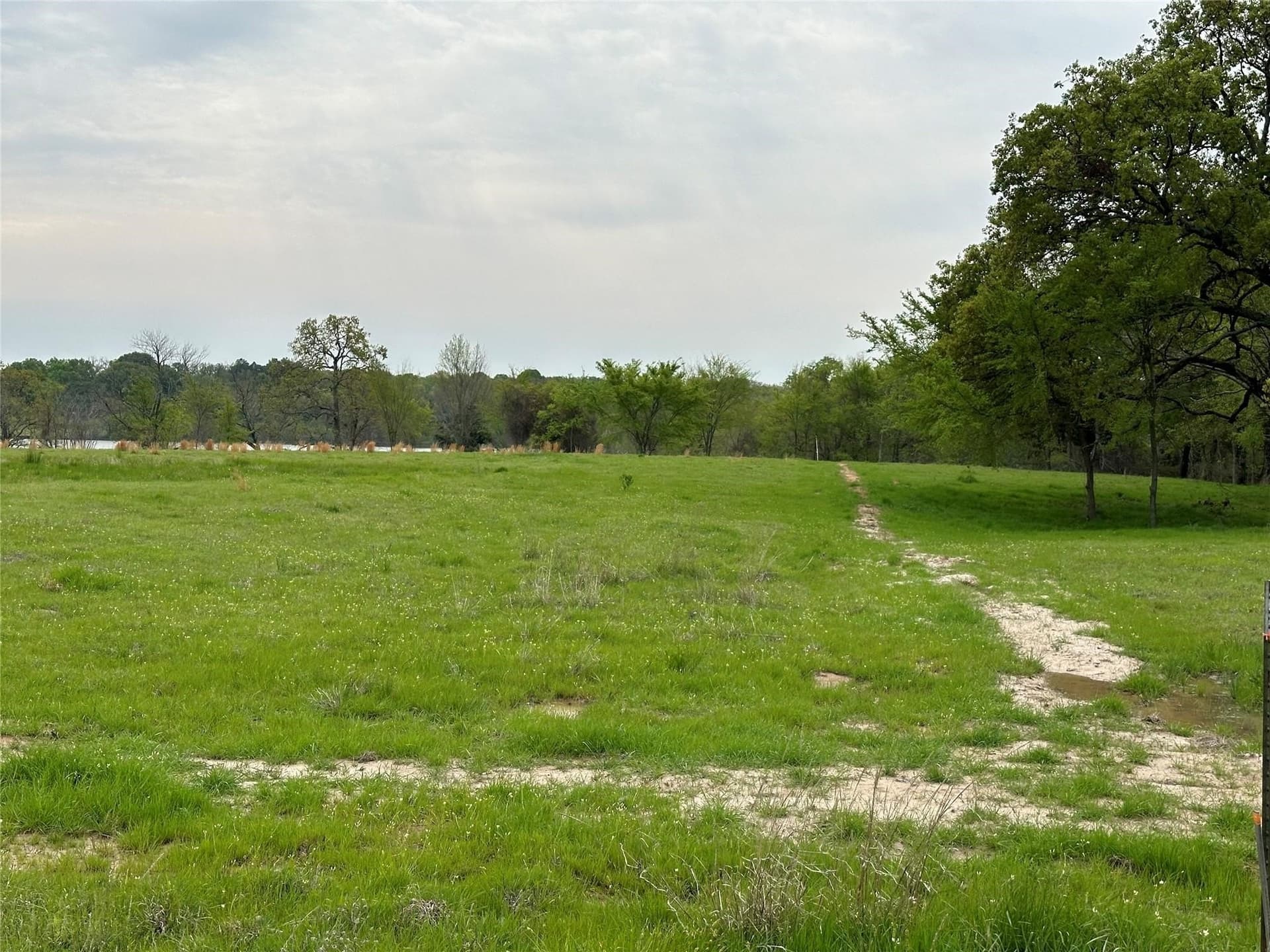 1.59 acres in Rains County gallery image 4