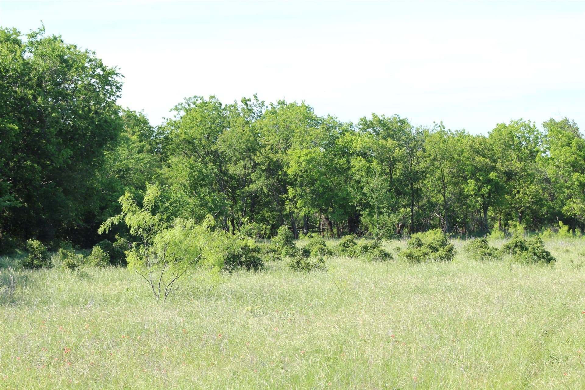 47.3 acres in Jack County - photo 36