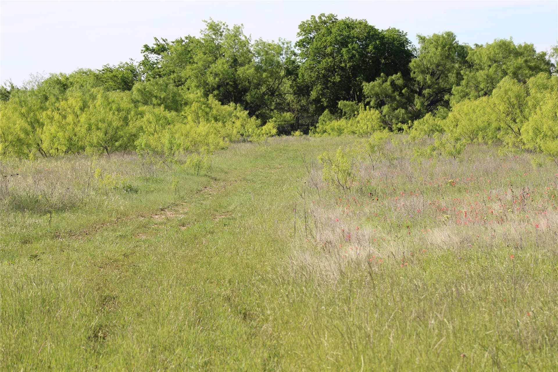 47.3 acres in Jack County - photo 30