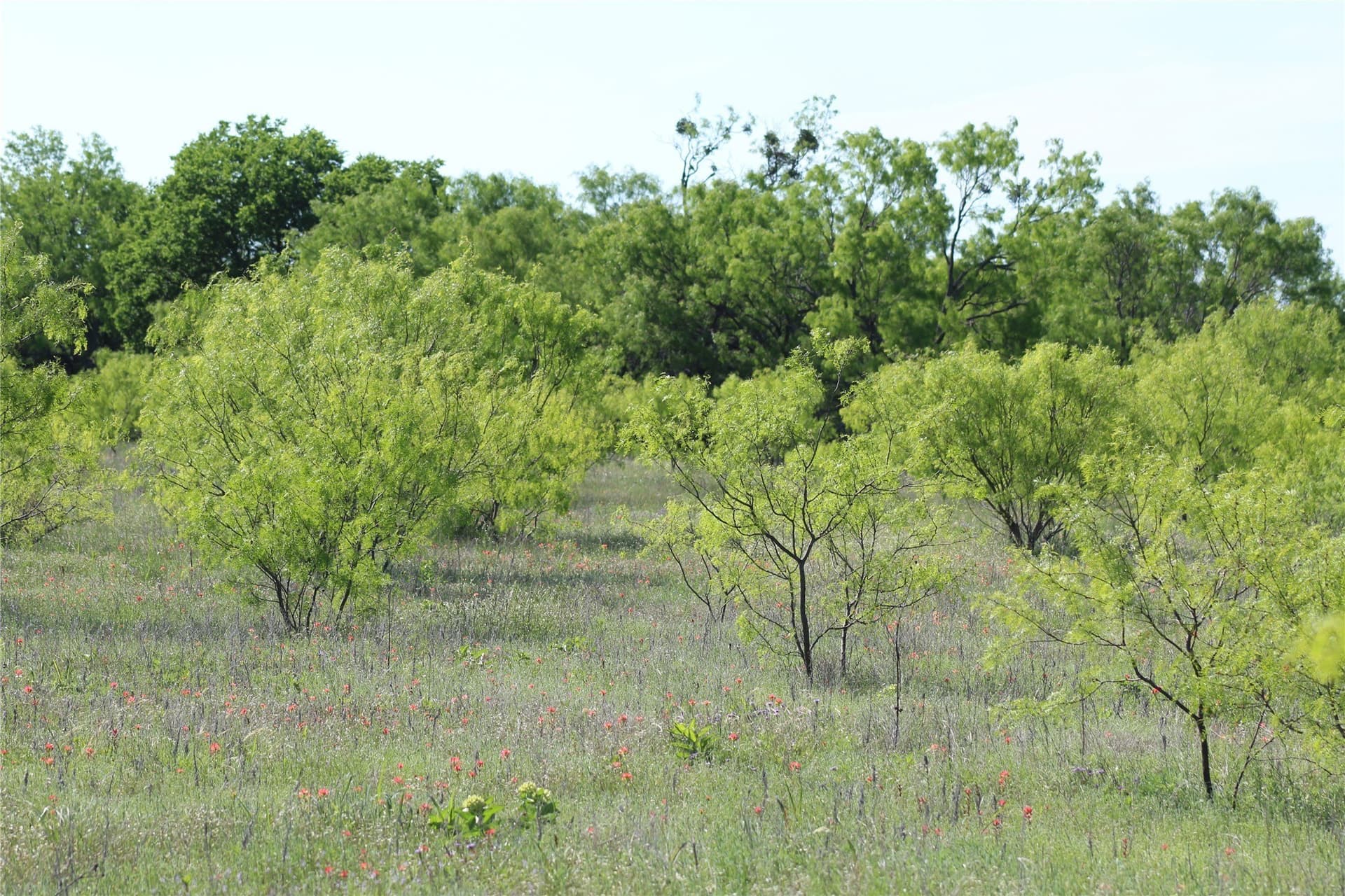 47.3 acres in Jack County - photo 28