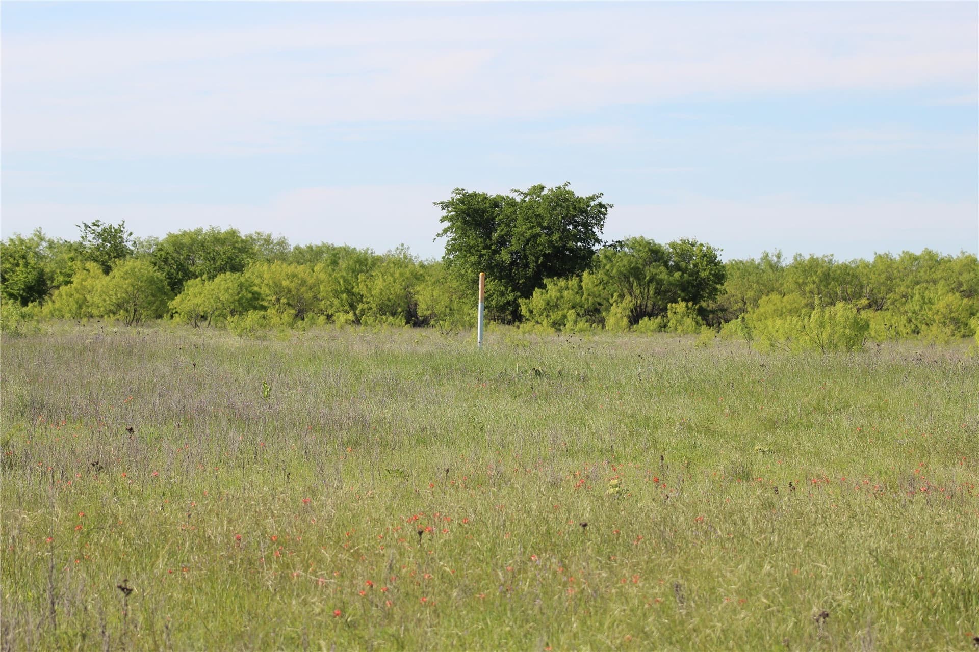 47.3 acres in Jack County - photo 31