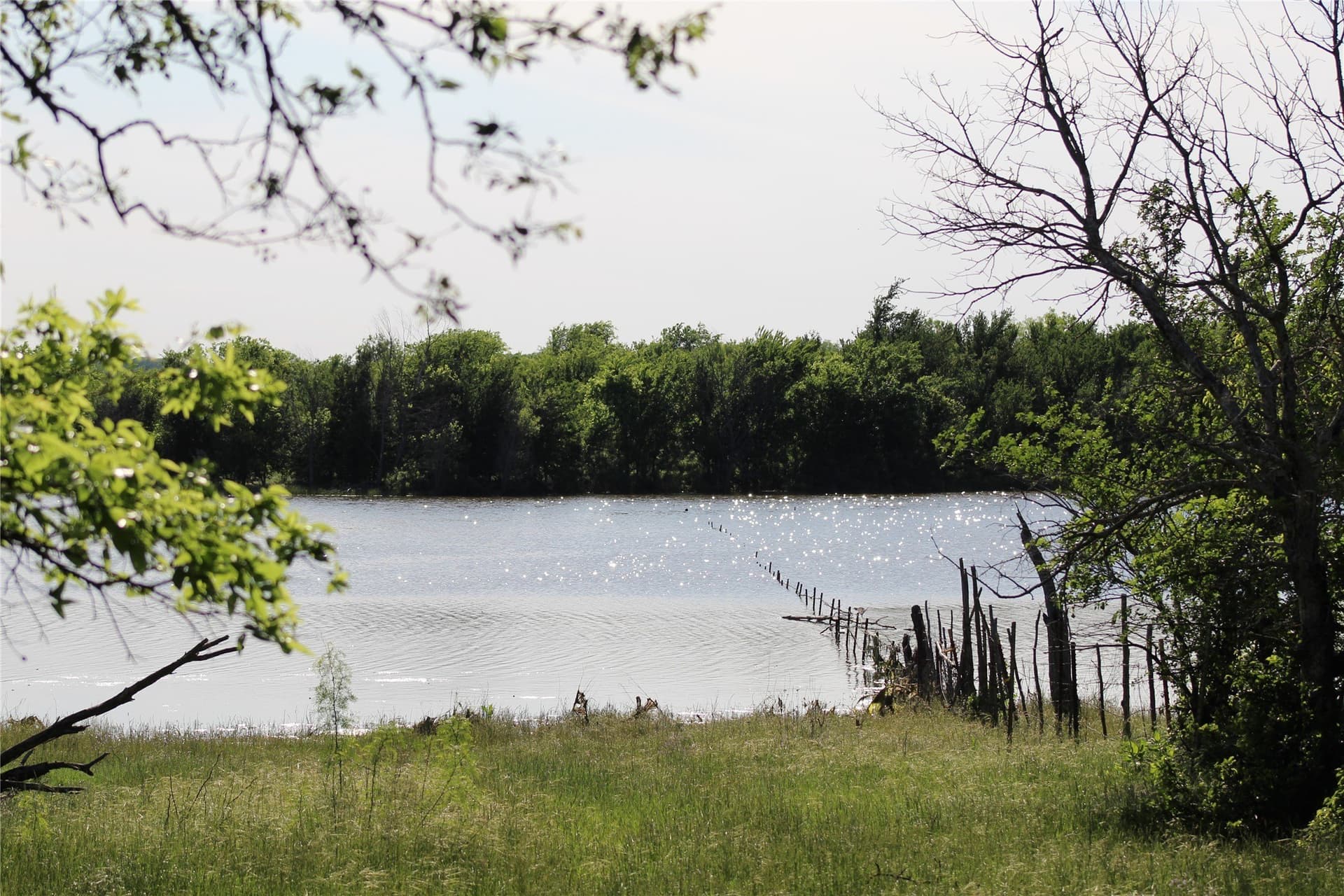47.3 acres in Jack County - photo 37