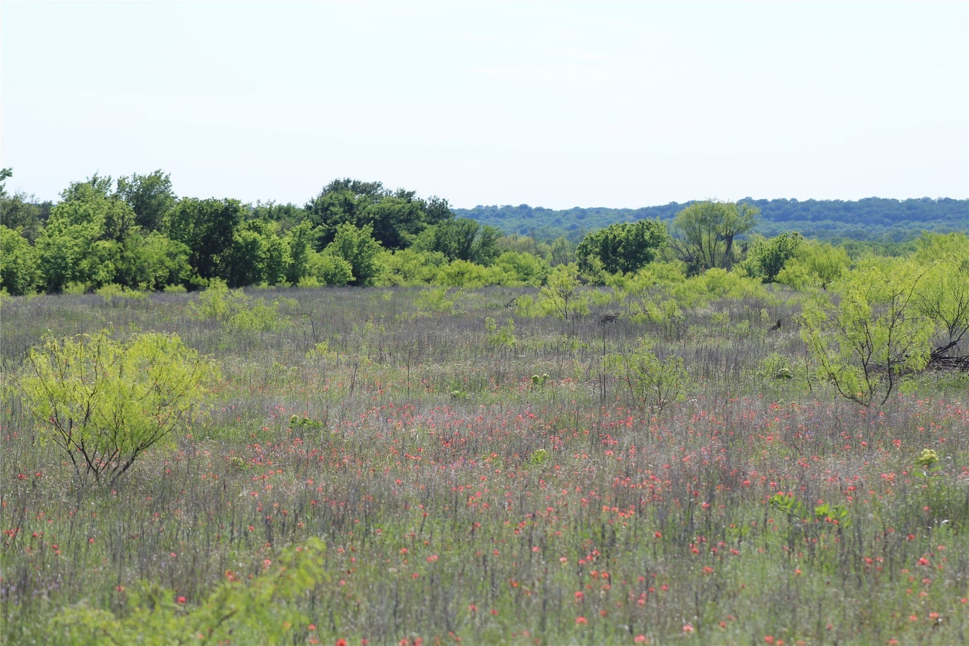 47.3 acres in Jack County - photo 29