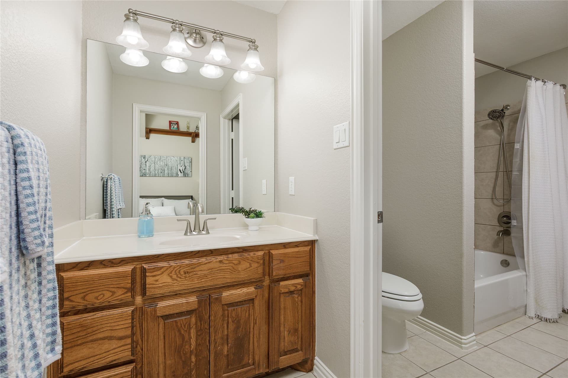 11.09 acres in Collin County - photo 21