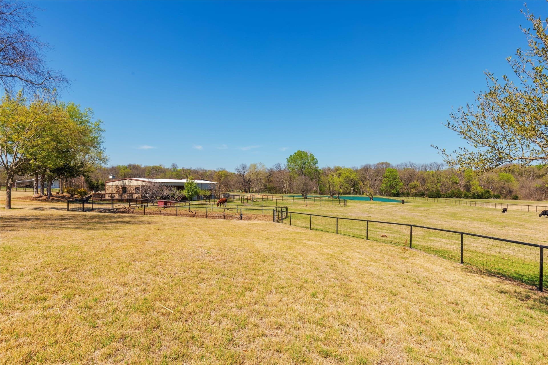 11.09 acres in Collin County - photo 28