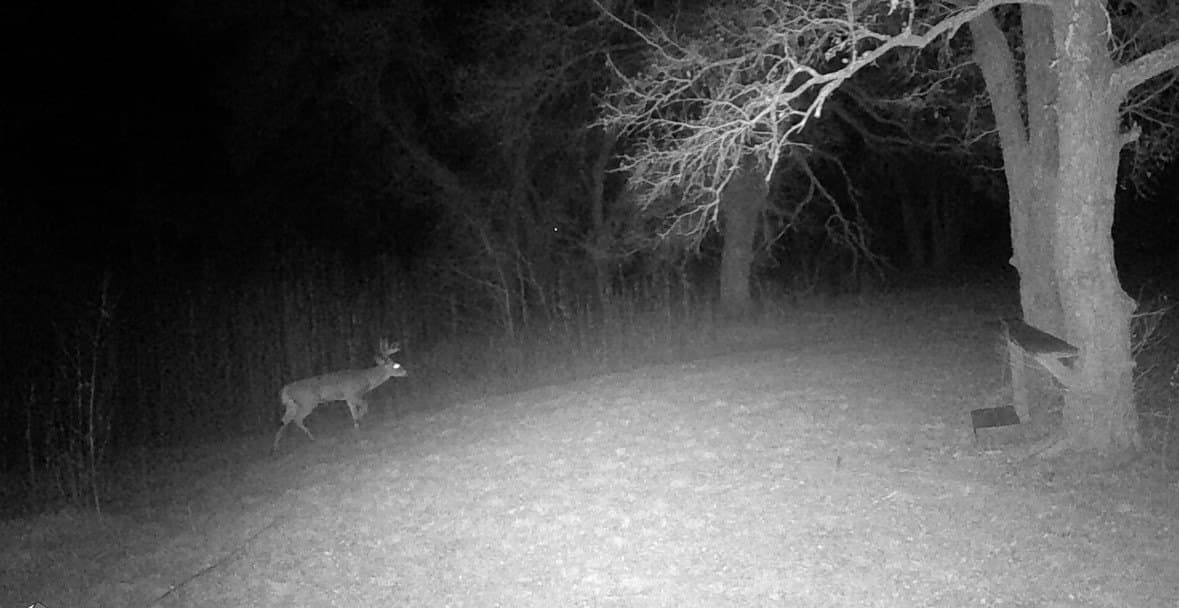 14.01 acres in McLennan County - photo 35