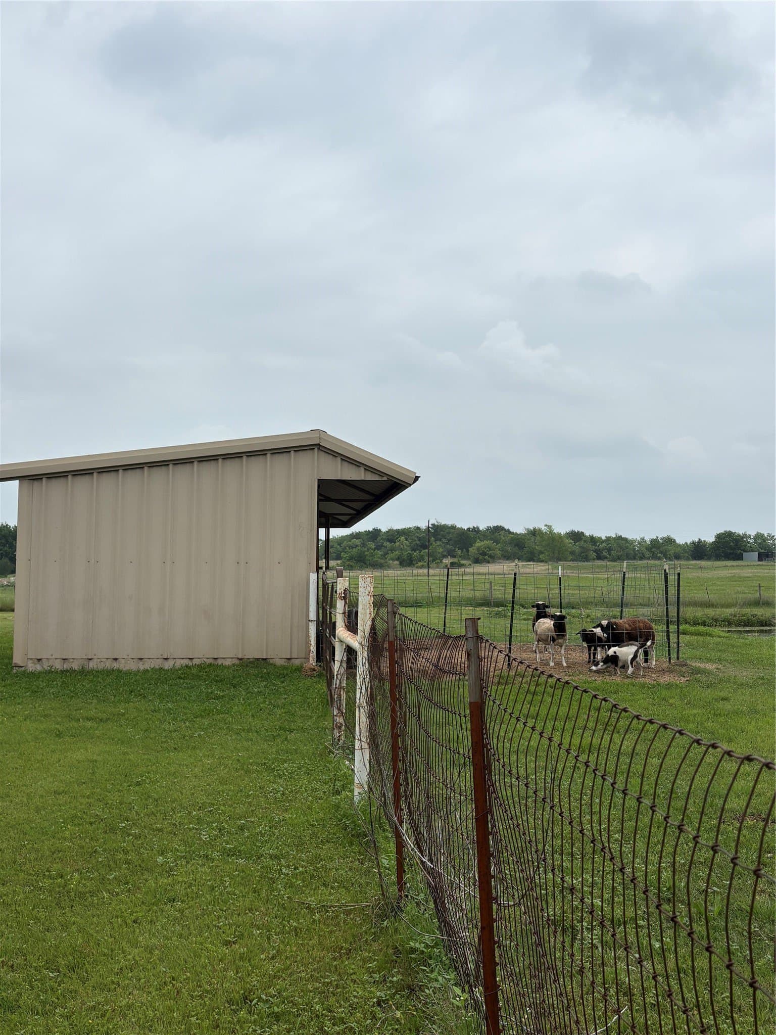 14.01 acres in McLennan County - photo 30