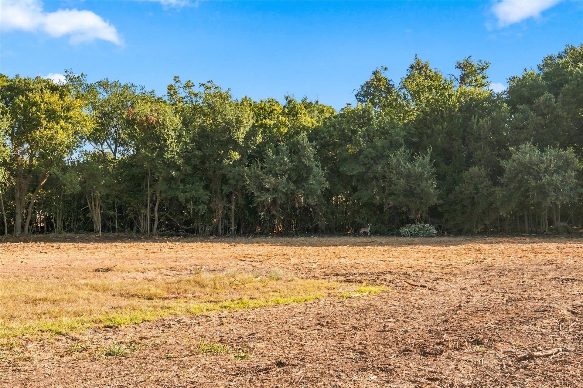 0.46 acres in Bosque County - photo 3