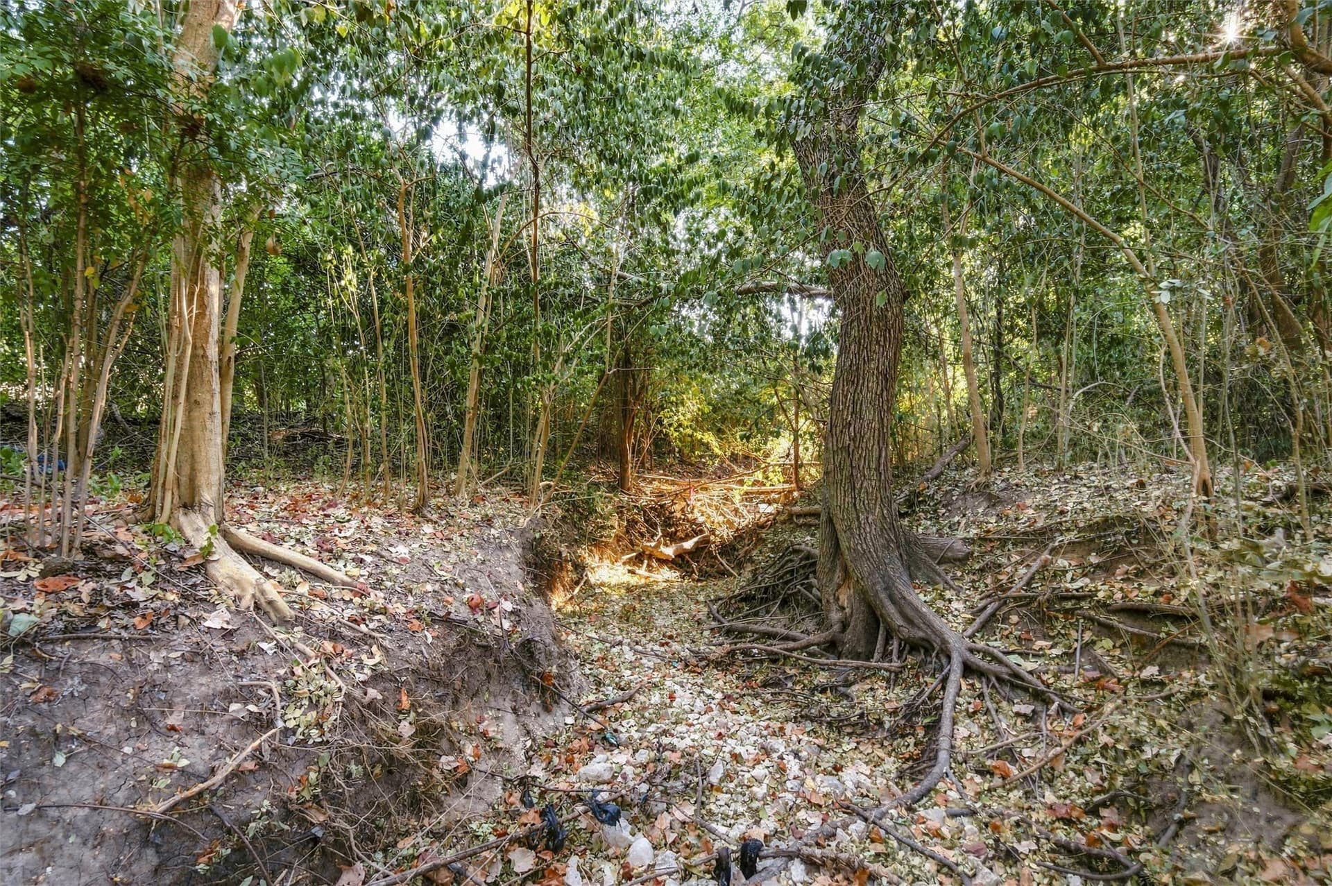 0.46 acres in Bosque County - photo 5