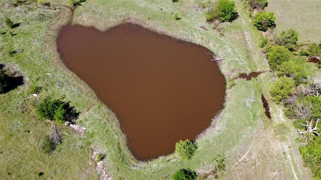 10.01 acres in Wise County gallery image 3