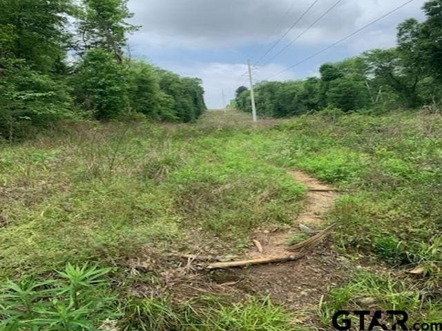 120.68 acres in Smith County featured view