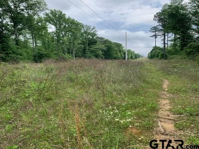 120.68 acres in Smith County gallery image 4