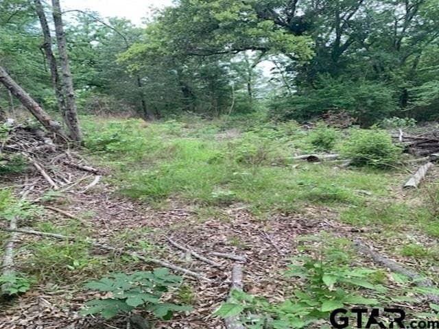 120.68 acres in Smith County gallery image 3