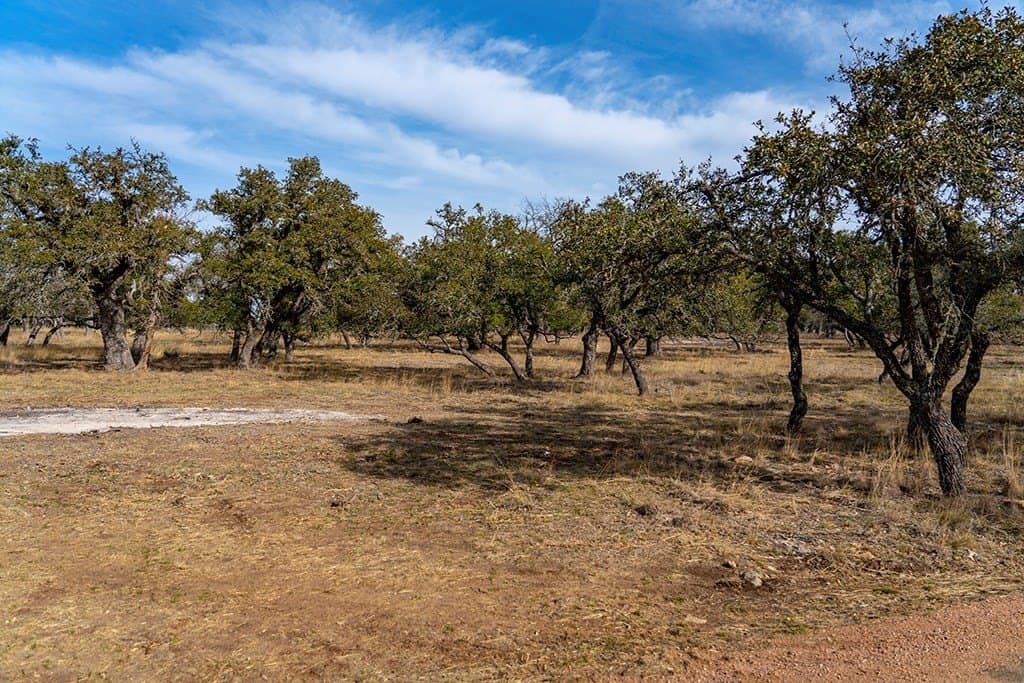 35 acres in Gillespie County - photo 36