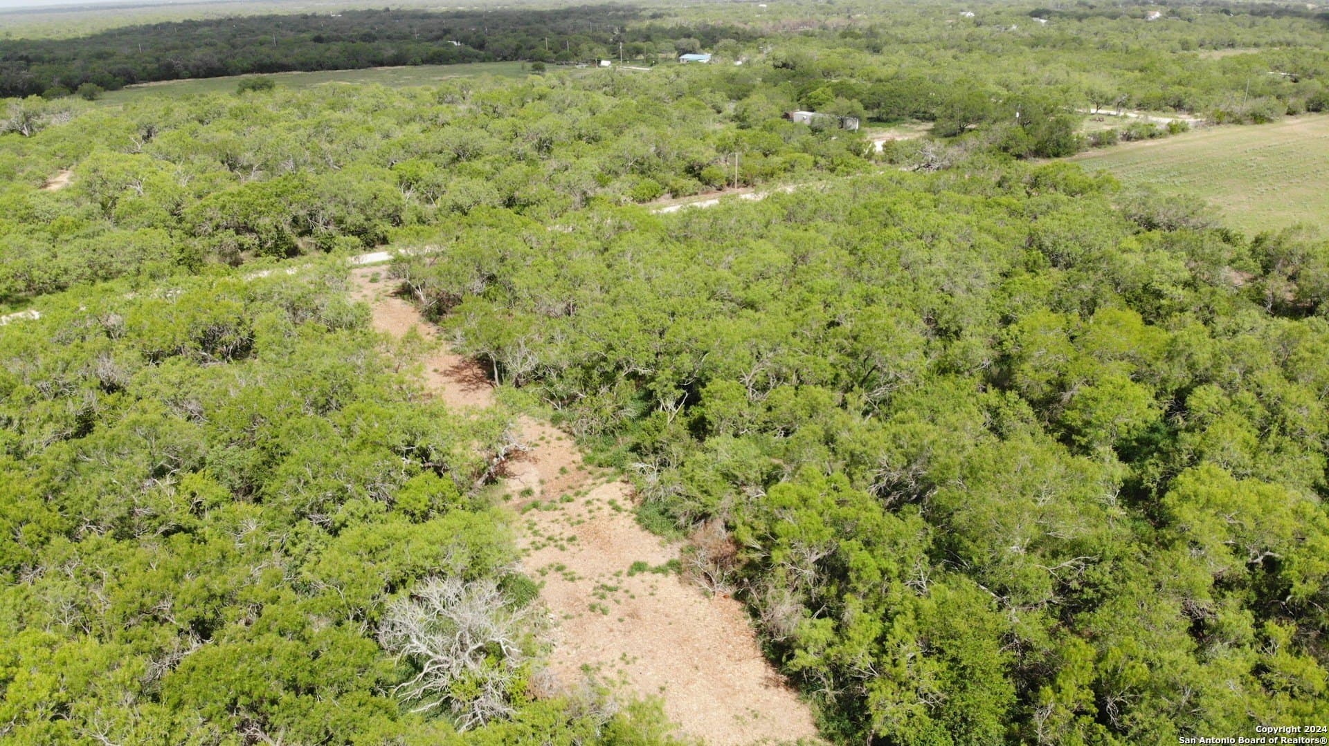 0.16 acres in Atascosa County - photo 6