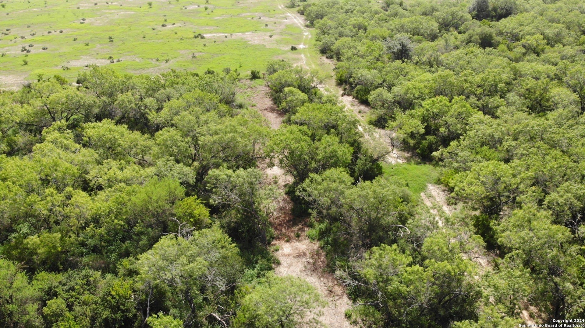 0.16 acres in Atascosa County gallery image 2