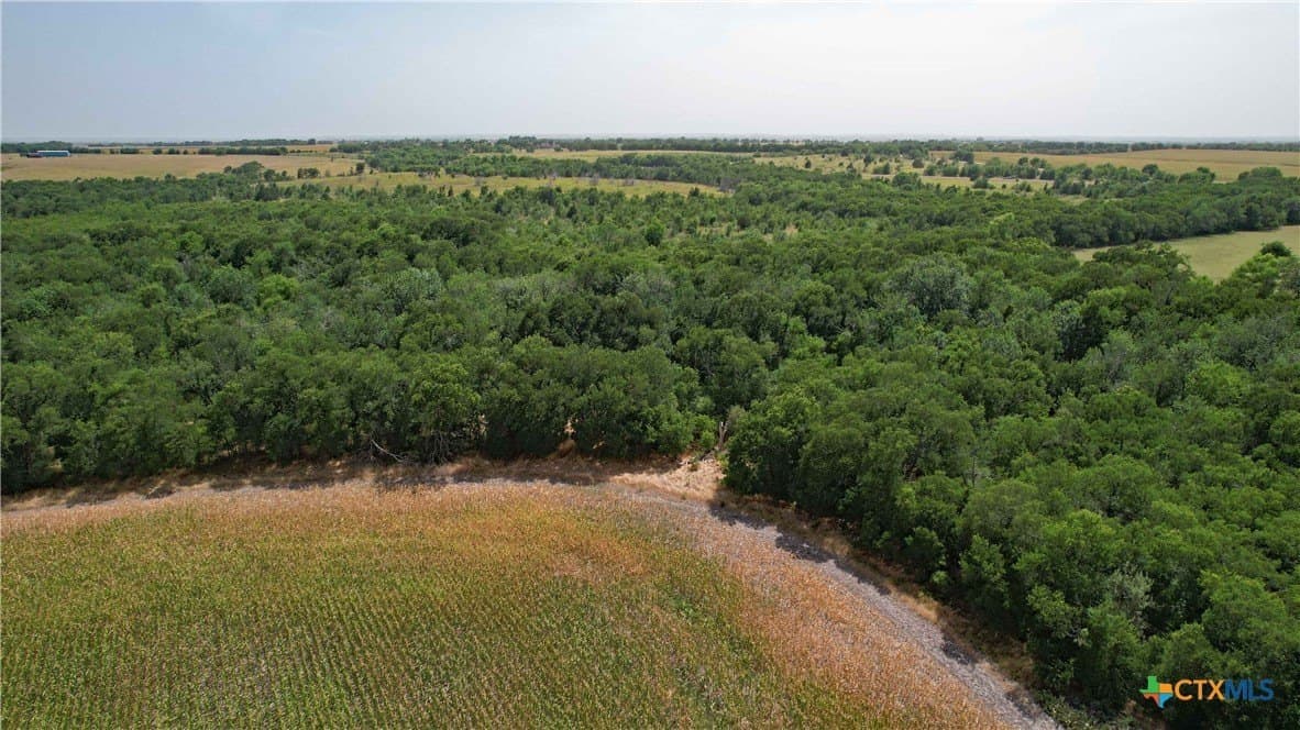 80.5 acres in Bell County gallery image 3