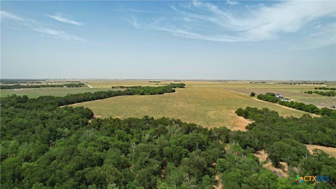 80.5 acres in Bell County gallery image 2