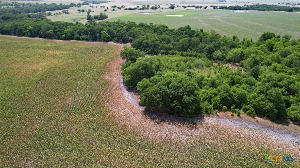 80.5 acres in Bell County gallery image 4