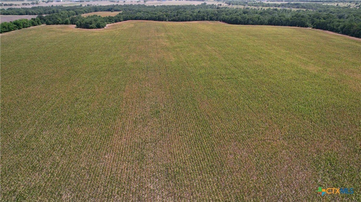 80.5 acres in Bell County featured view