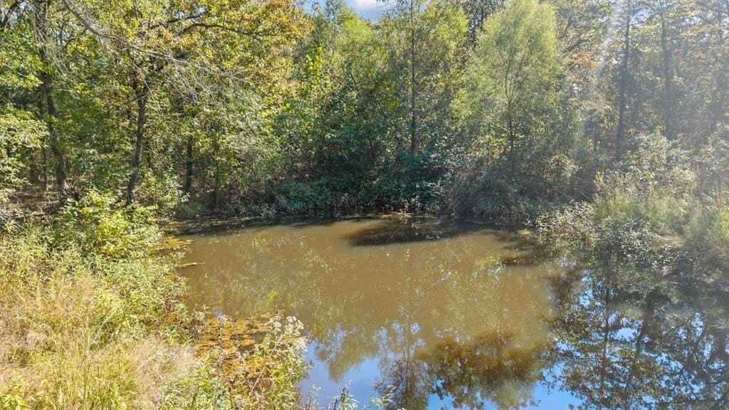 59 acres in Van Zandt County gallery image 3