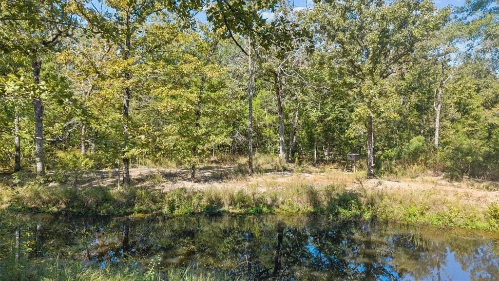 59 acres in Van Zandt County gallery image 4