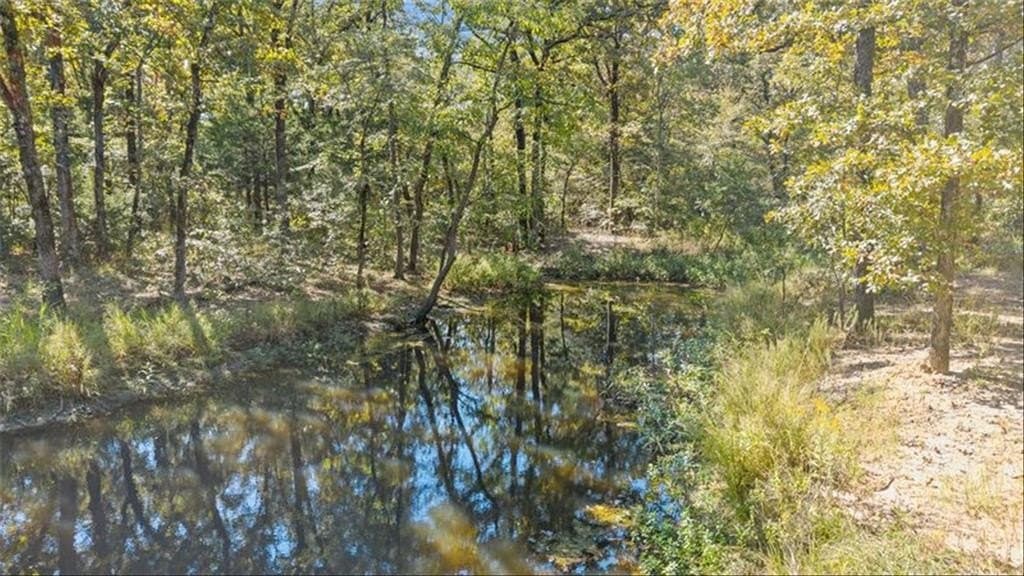 59 acres in Van Zandt County featured view