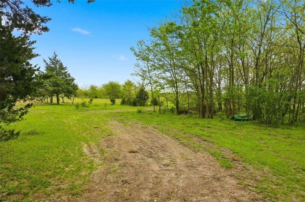 54.27 acres in Hunt County gallery image 3