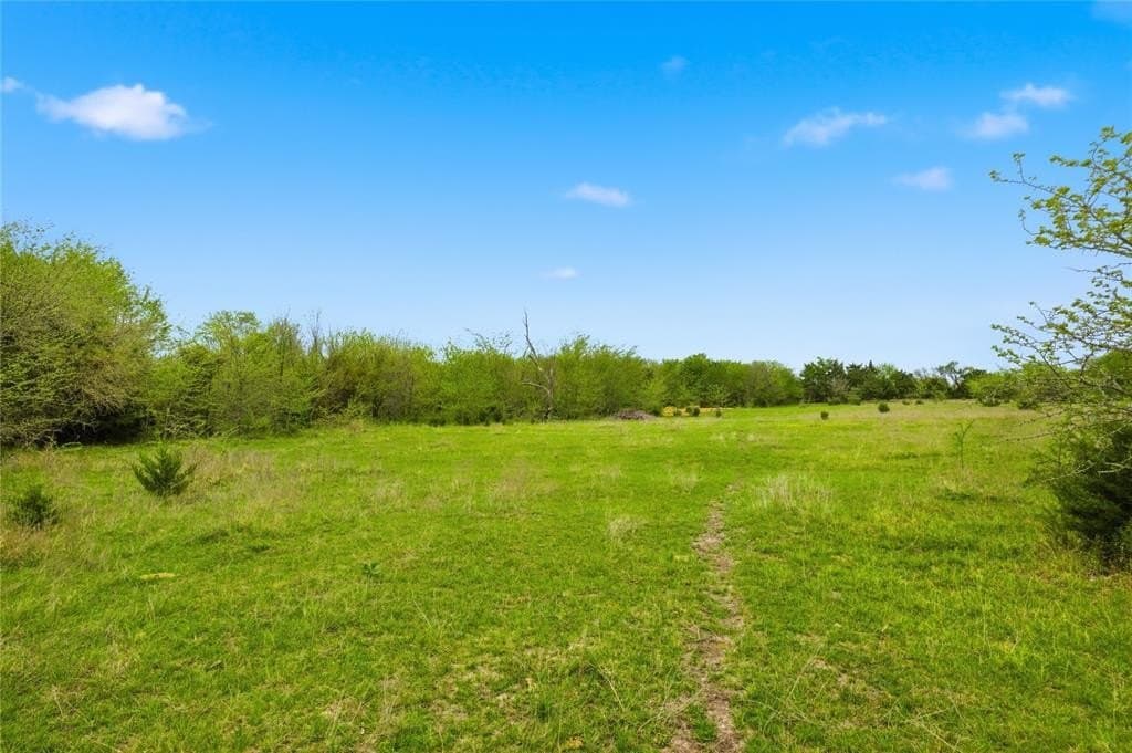 54.27 acres in Hunt County gallery image 4