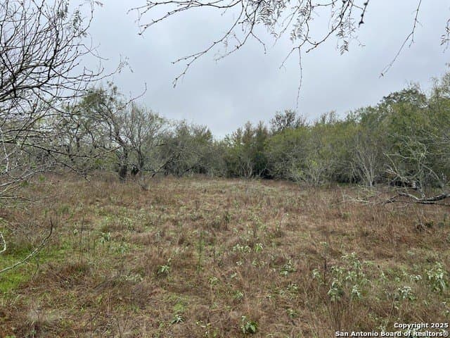 10.72 acres in Guadalupe County gallery image 3