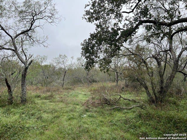10.72 acres in Guadalupe County