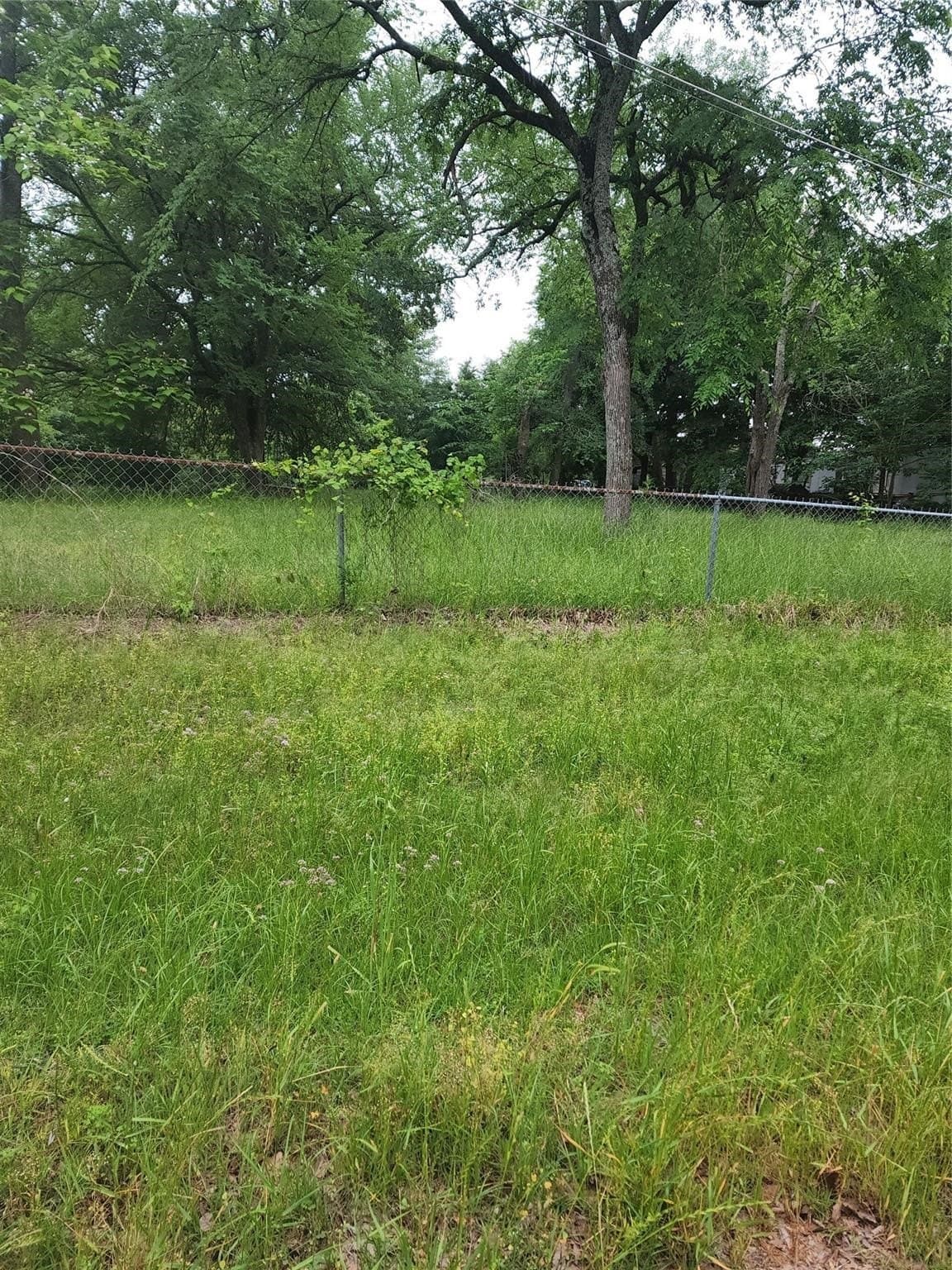 0.37 acres in Henderson County - photo 4