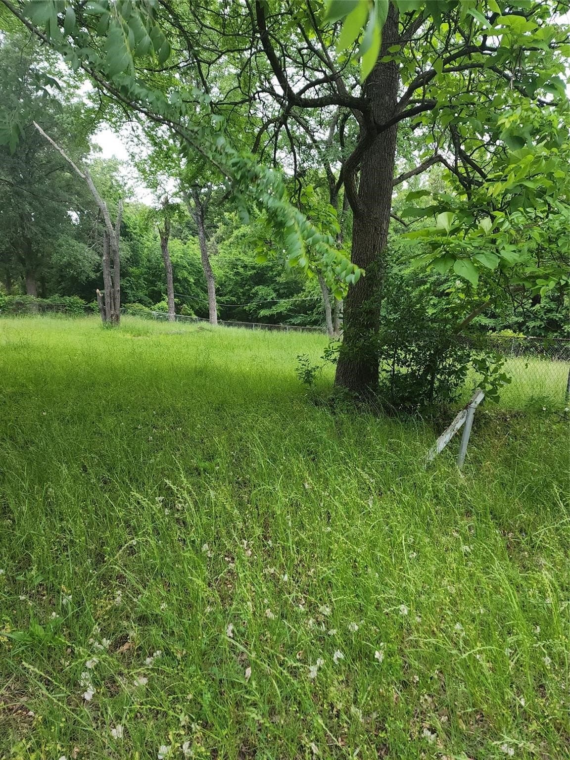 0.37 acres in Henderson County - photo 3