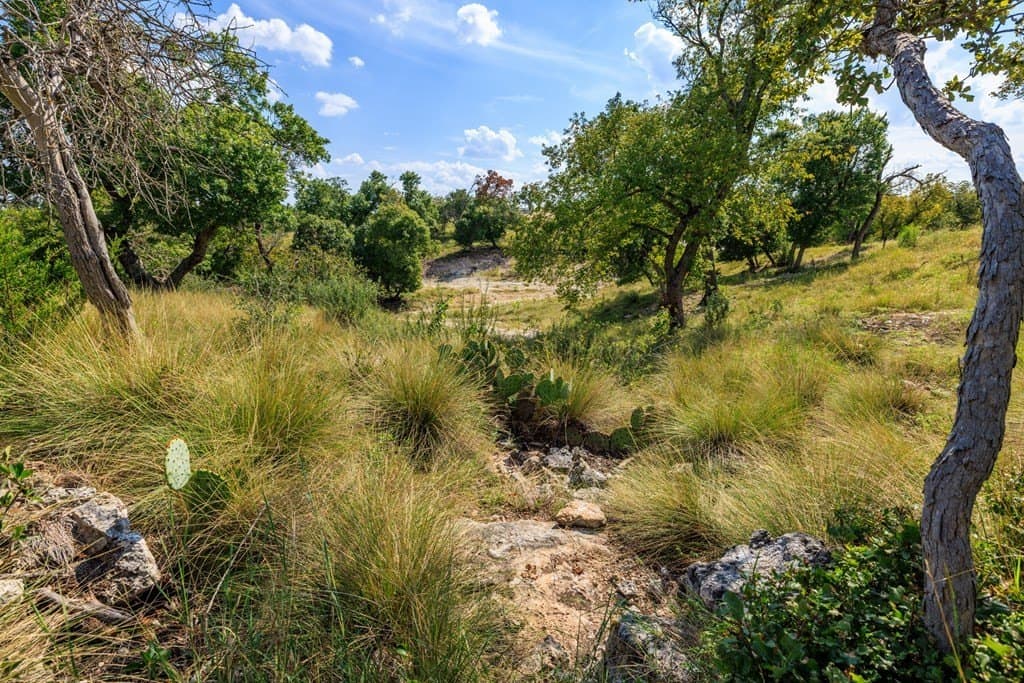 5.19 acres in Gillespie County - photo 11