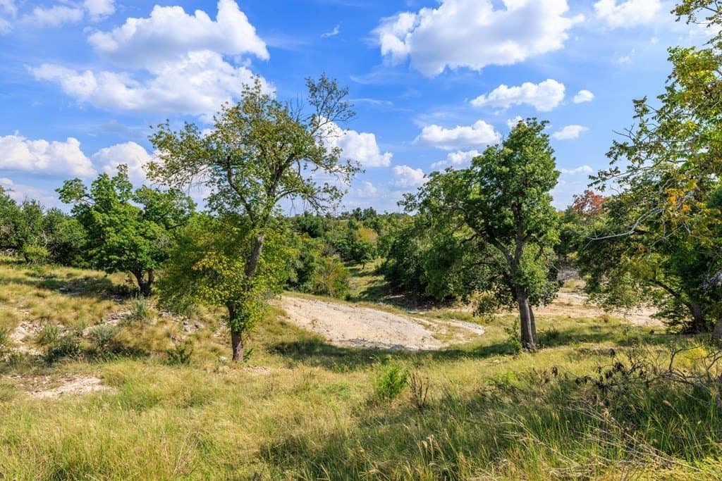 5.19 acres in Gillespie County - photo 4