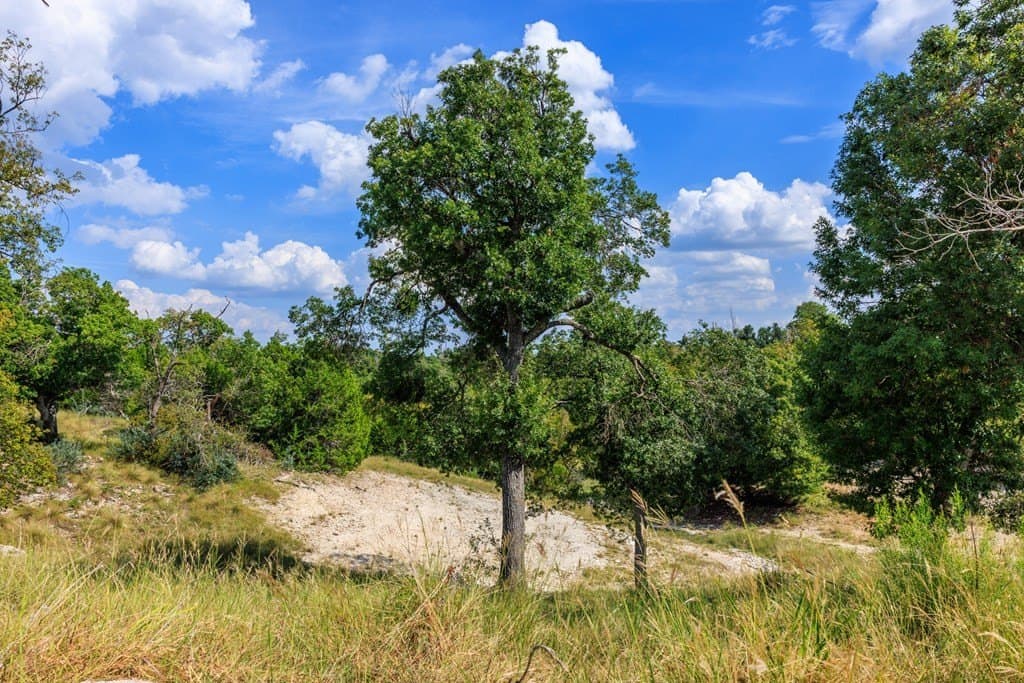 5.19 acres in Gillespie County - photo 5