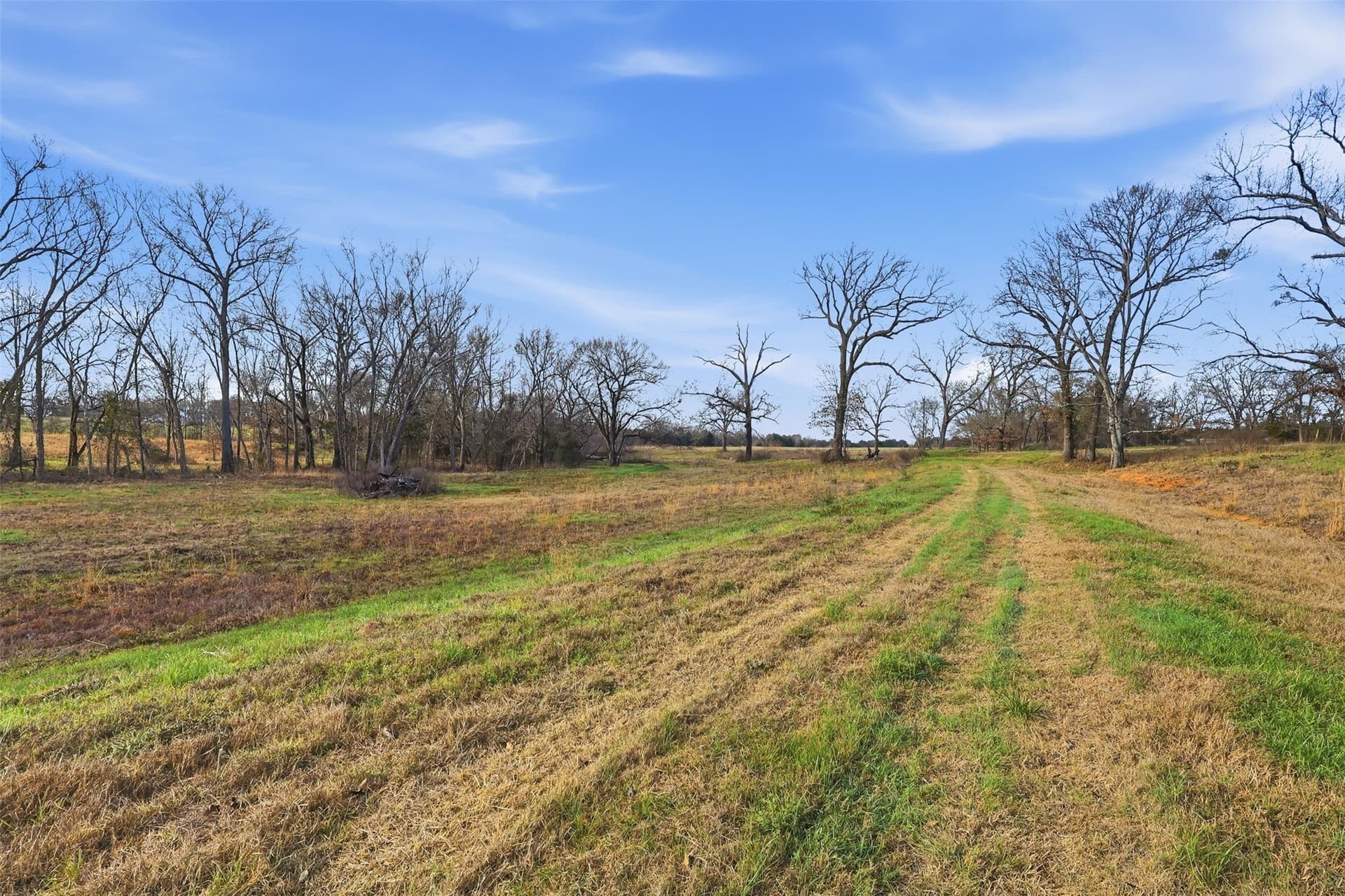 65.7 acres in Wood County - photo 7
